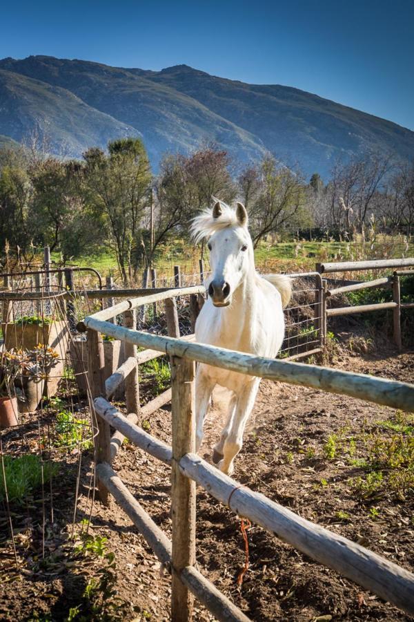 Aasvoelkrans Guest Farm Bed & Breakfast Montagu Dış mekan fotoğraf